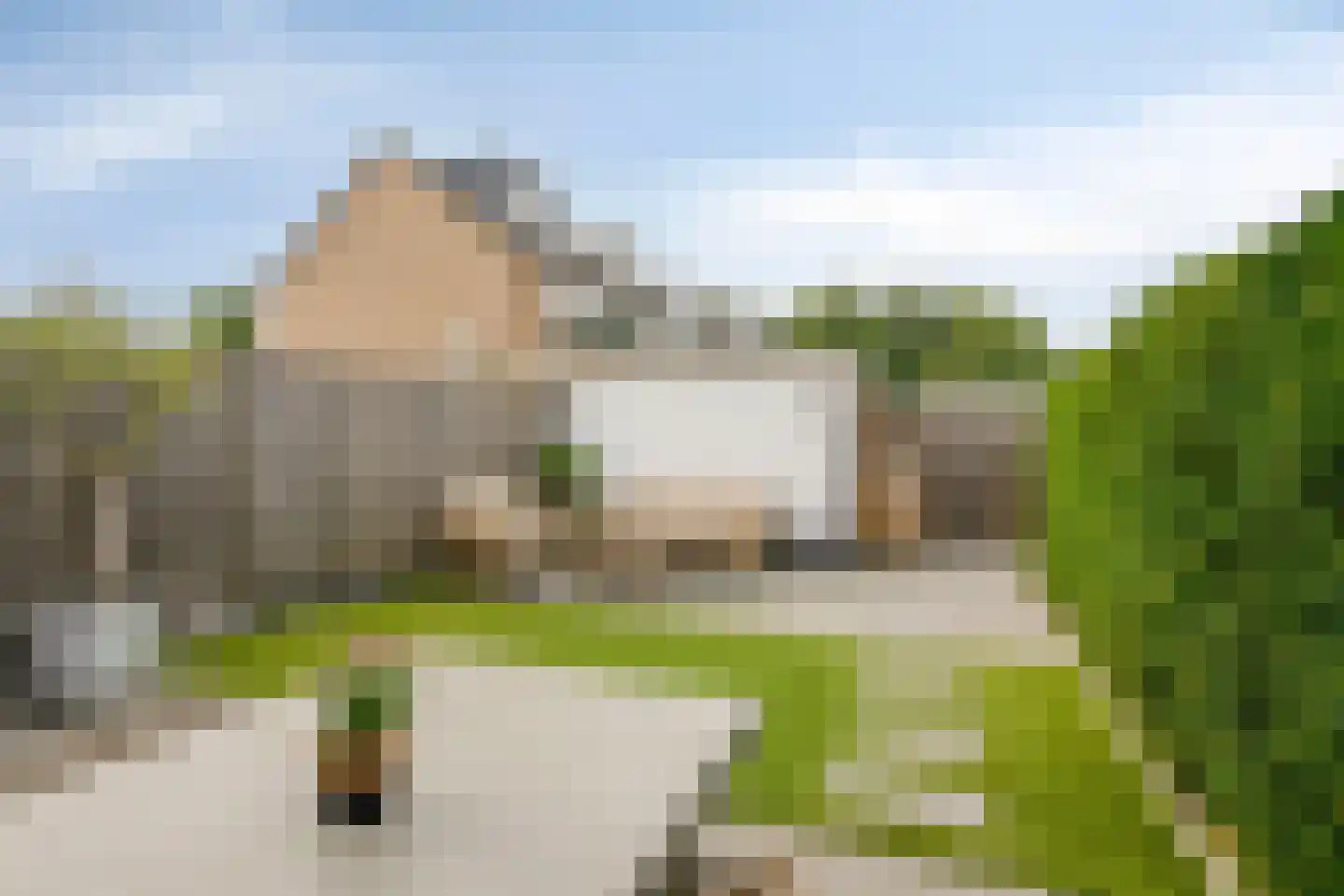 Schaapsdrift 8 Zevenaar thumbnail 32
