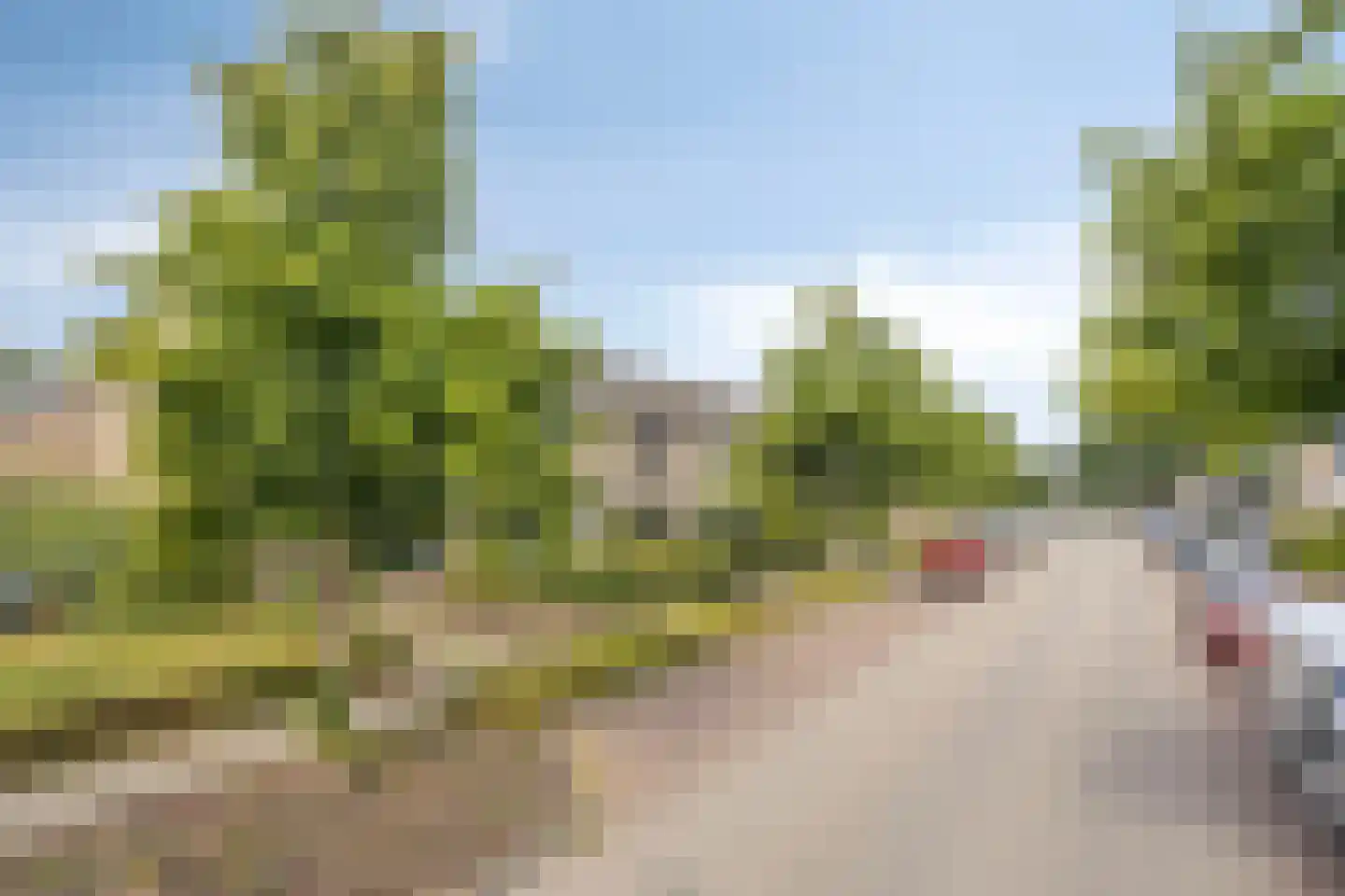 Schaapsdrift 8 Zevenaar thumbnail 39