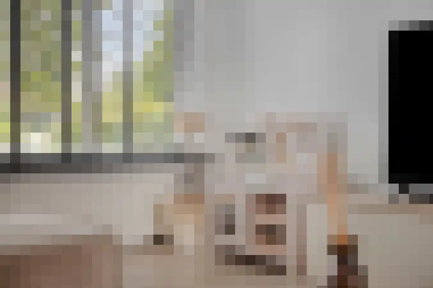 Schaapsdrift 8 Zevenaar thumbnail 7