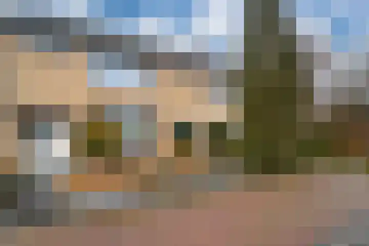 Schaapsdrift 91 dans Zevenaar