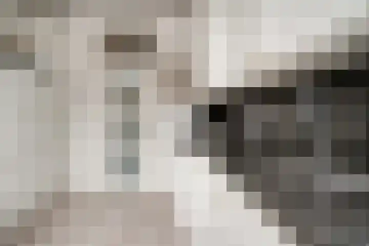 Schaapsdrift 91 Zevenaar thumbnail 17
