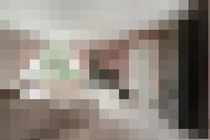 Schaapsdrift 91 Zevenaar thumbnail 18