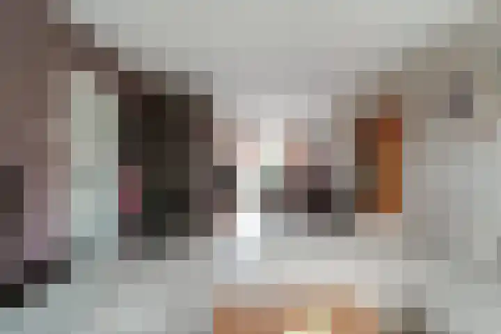 Schaapsdrift 91 Zevenaar thumbnail 20