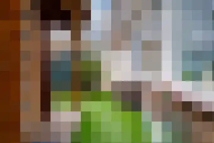 Schaapsdrift 91 Zevenaar thumbnail 24