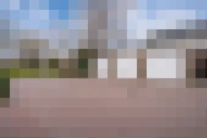 Schaapsdrift 91 Zevenaar thumbnail 29