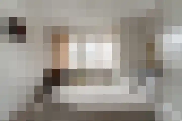 Schaapsdrift 91 Zevenaar thumbnail 31