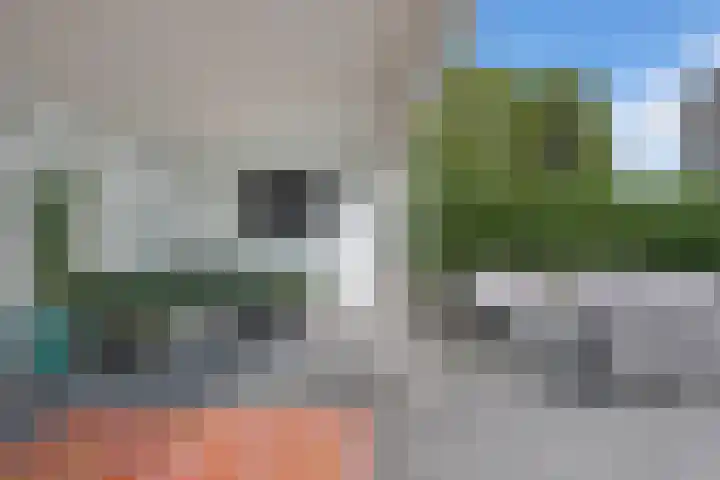Schaapsdrift 91 Zevenaar thumbnail 36