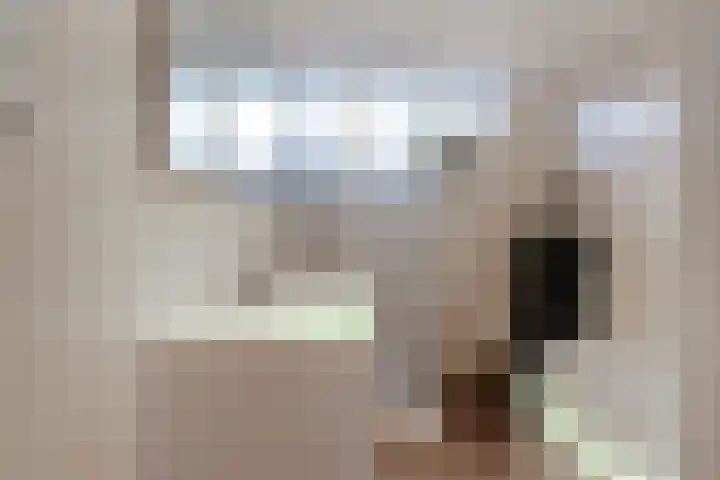 Schaapsdrift 91 Zevenaar thumbnail 4