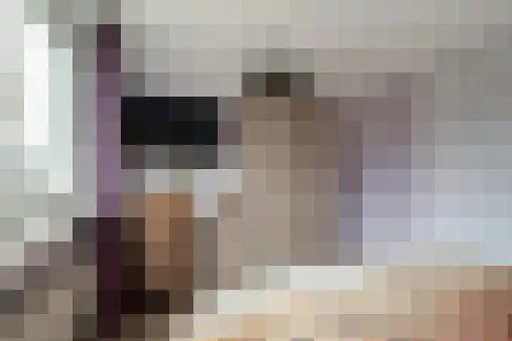 Schaapsdrift 91 Zevenaar thumbnail 40