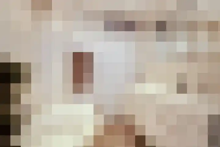 Schaapsdrift 91 Zevenaar thumbnail 42