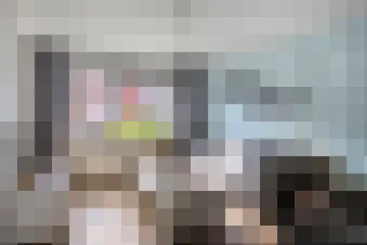 Schaapsdrift 91 Zevenaar thumbnail 43