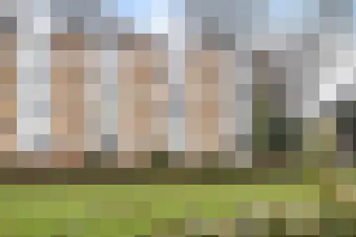 Schaapsdrift 91 Zevenaar thumbnail 44