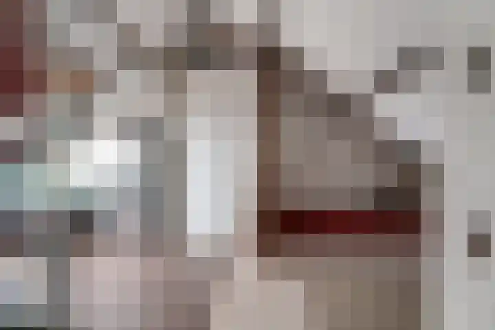 Schaapsdrift 91 Zevenaar thumbnail 44