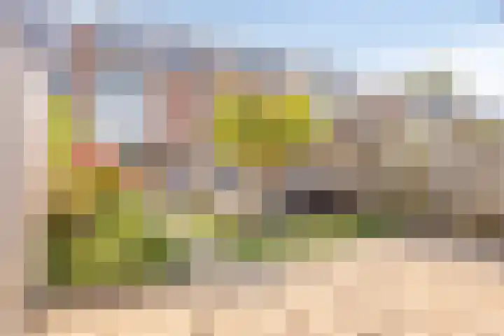 Schaapsdrift 91 Zevenaar thumbnail 45