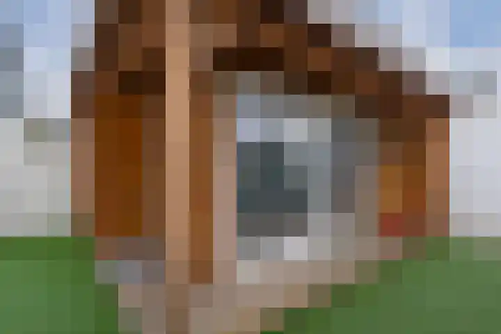Schaapsdrift 91 Zevenaar thumbnail 5