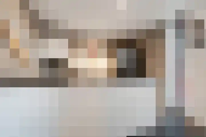 Schaapsdrift 91 Zevenaar thumbnail 51