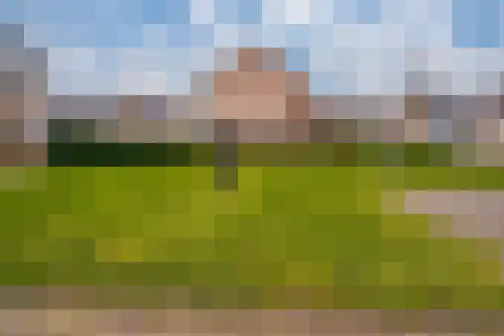 Schaapsdrift 91 Zevenaar thumbnail 7