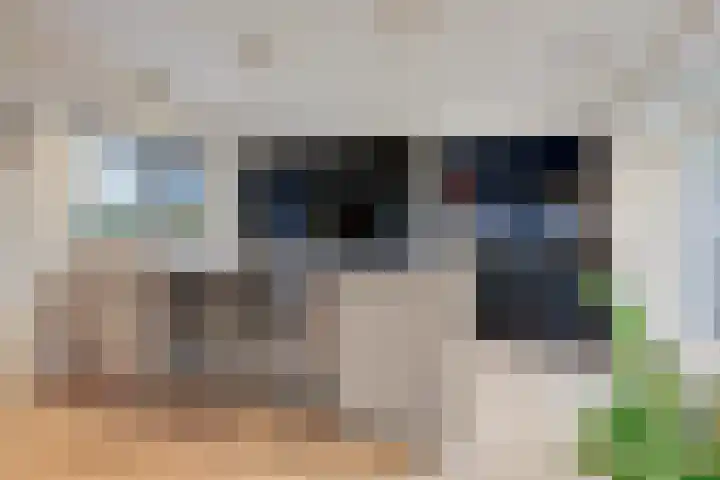 Schaapsdrift Overbeek 9 Velp thumbnail 17