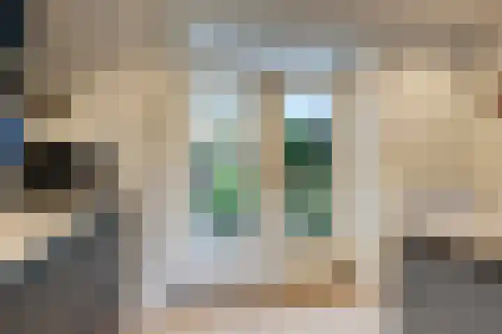 Schaapsdrift Overbeek 9 Velp thumbnail 21