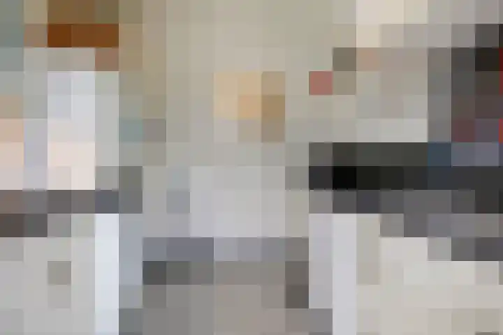 Schaapsdrift Overbeek 9 Velp thumbnail 22