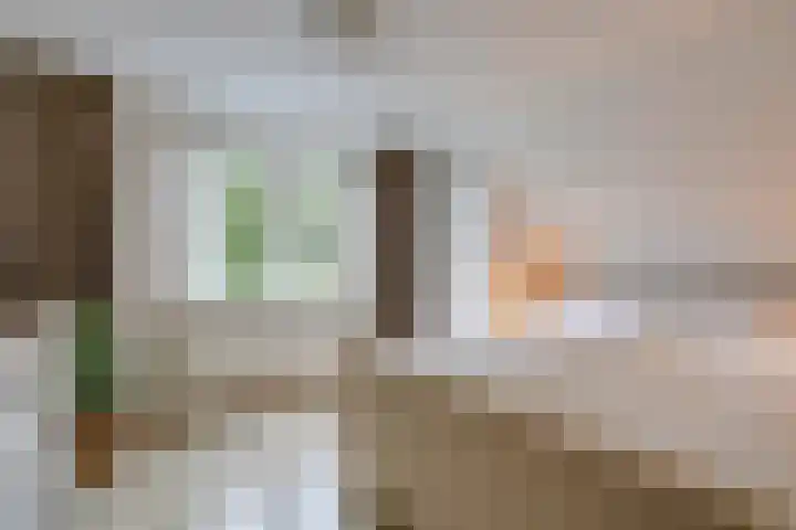 Schaapsdrift Overbeek 9 Velp thumbnail 25