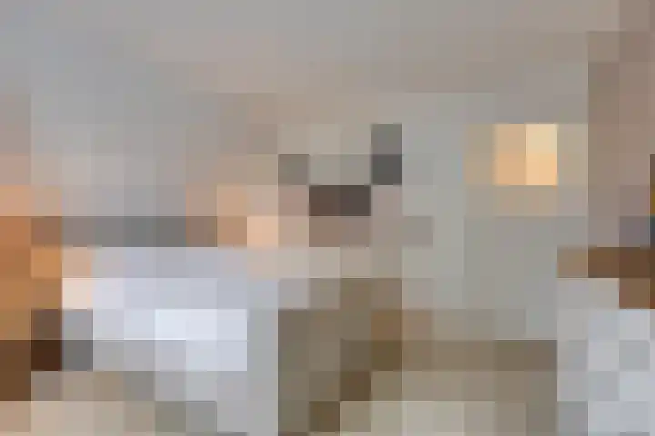 Schaapsdrift Overbeek 9 Velp thumbnail 26