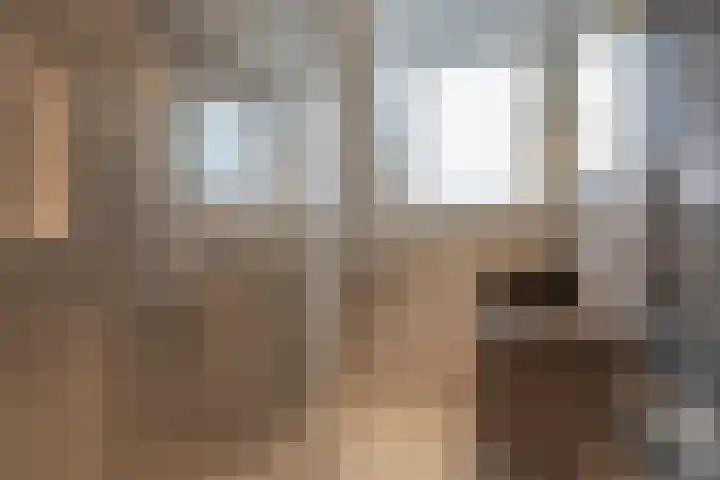 Schaapsdrift Overbeek 9 Velp thumbnail 30