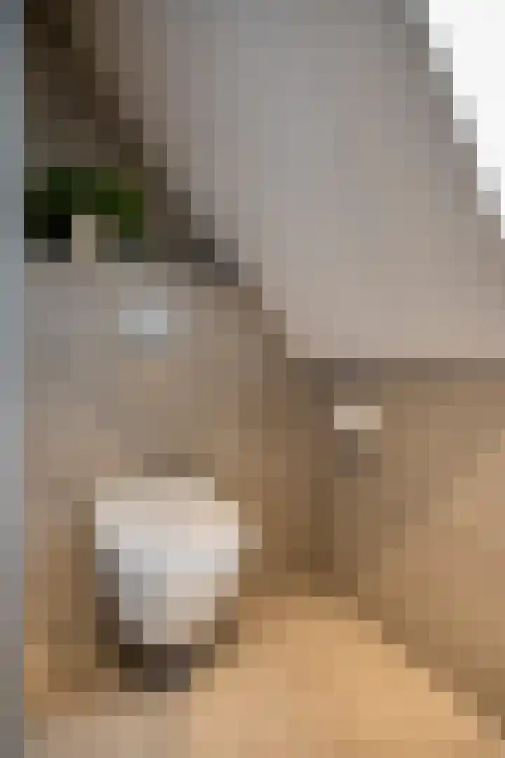 Schaapsdrift Overbeek 9 Velp thumbnail 31