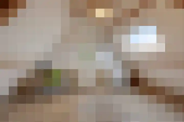 Schaapsdrift Overbeek 9 Velp thumbnail 35