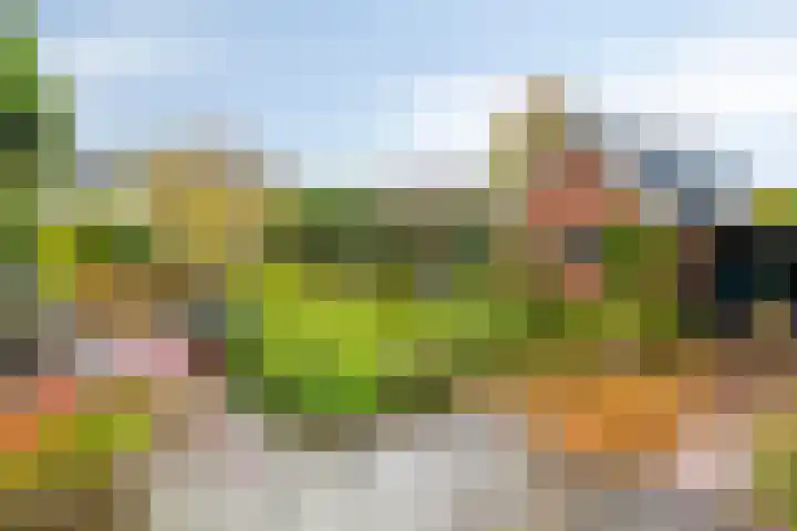 Schaapsdrift Overbeek 9 Velp thumbnail 39