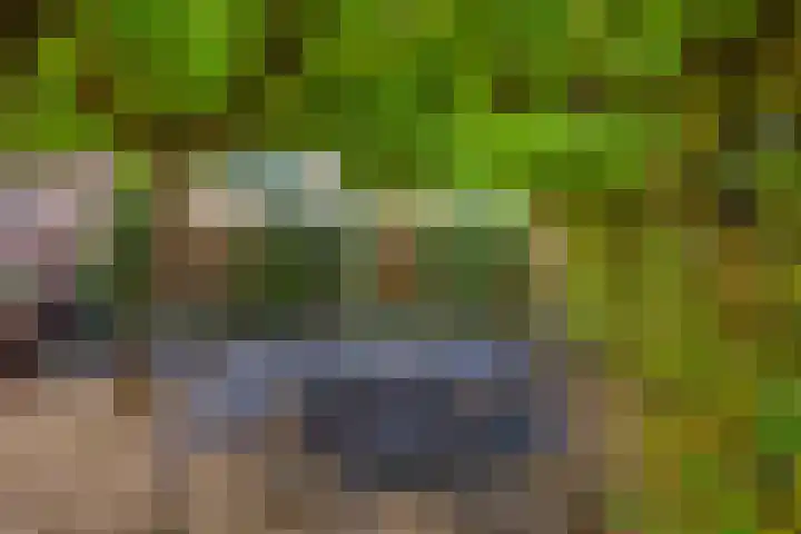 Schaapsdrift Overbeek 9 Velp thumbnail 45