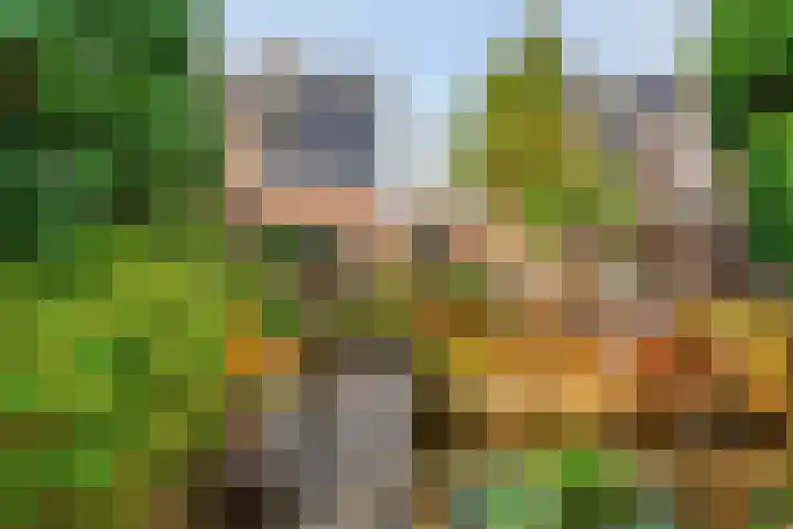 Schaapsdrift Overbeek 9 Velp thumbnail 49