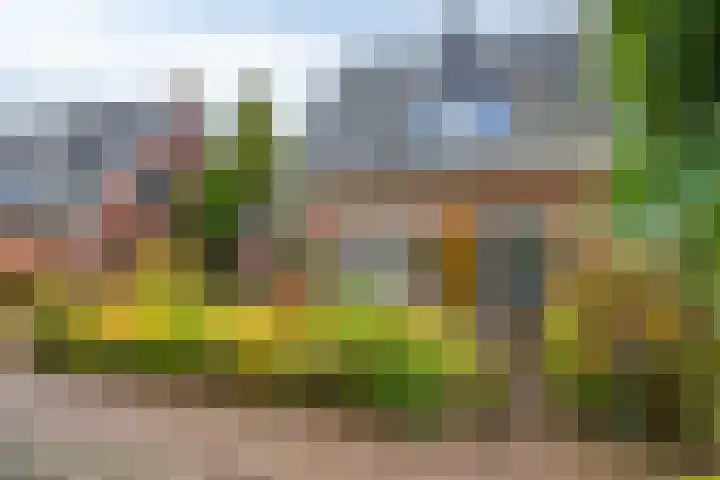 Schaapsdrift Overbeek 9 Velp thumbnail 7