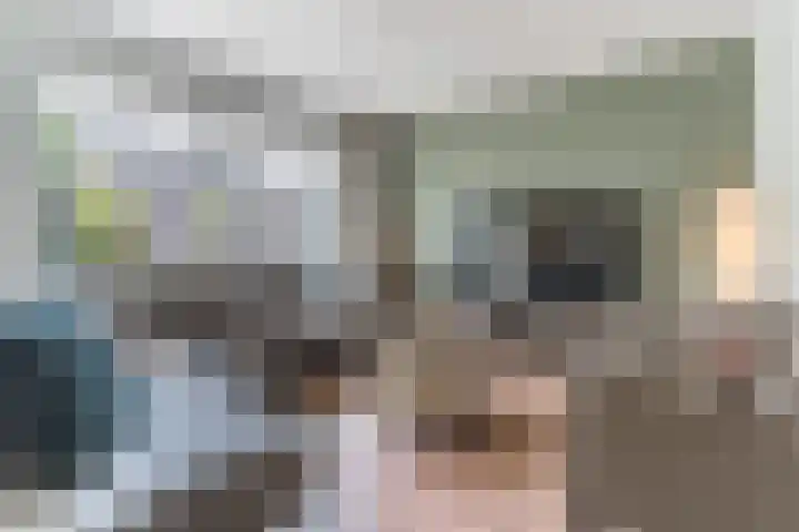 Schaapsheide 12 Odiliapeel thumbnail 12