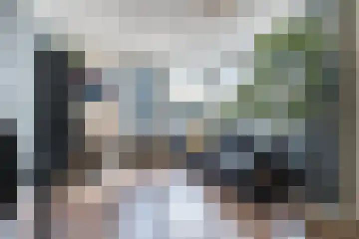 Schaapsheide 12 Odiliapeel thumbnail 17