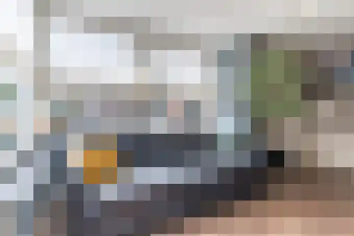Schaapsheide 12 Odiliapeel thumbnail 18
