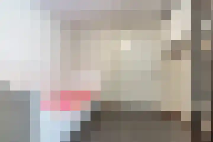 Schaapsheide 12 Odiliapeel thumbnail 20