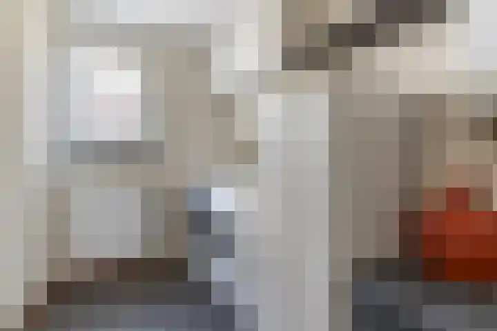 Schaapsheide 12 Odiliapeel thumbnail 22