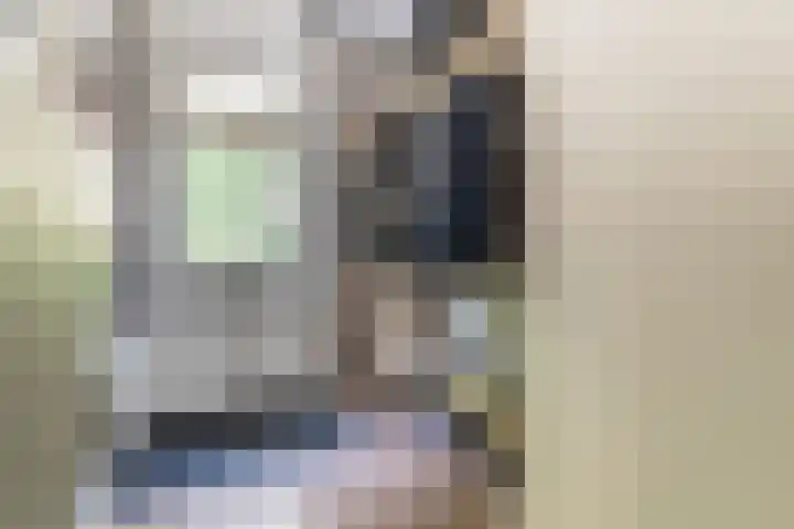 Schaapsheide 12 Odiliapeel thumbnail 23
