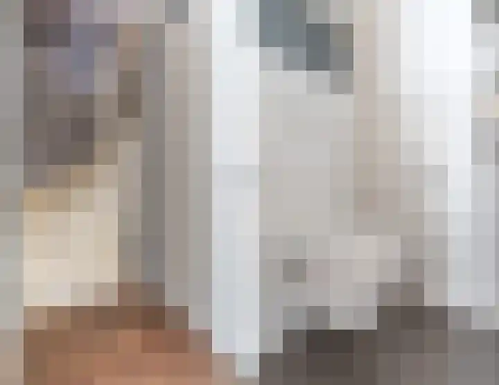 Schaapsheide 12 Odiliapeel thumbnail 24