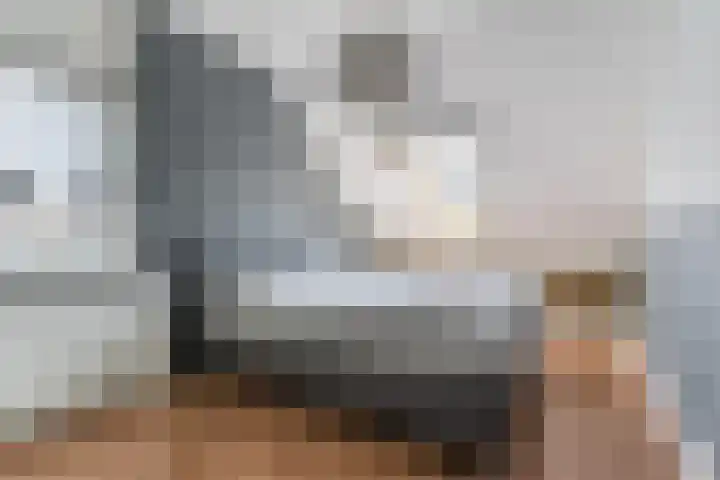 Schaapsheide 12 Odiliapeel thumbnail 26