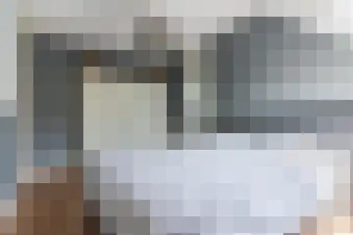 Schaapsheide 12 Odiliapeel thumbnail 27