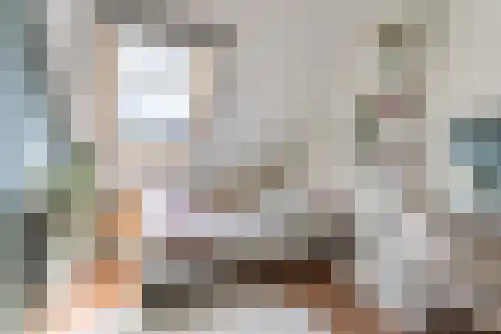 Schaapsheide 12 Odiliapeel thumbnail 28