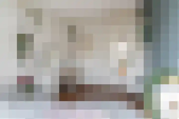 Schaapsheide 12 Odiliapeel thumbnail 29