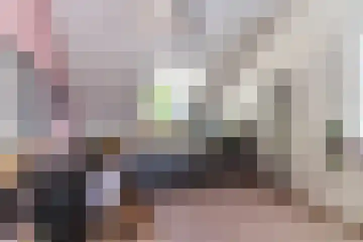 Schaapsheide 12 Odiliapeel thumbnail 30