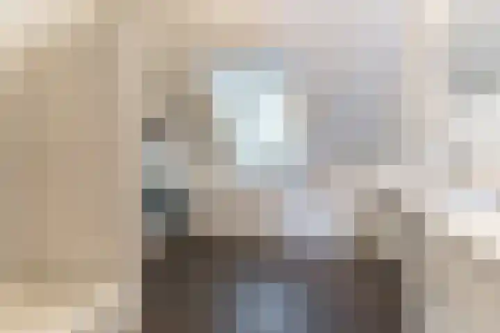 Schaapsheide 12 Odiliapeel thumbnail 32