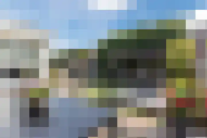 Schaapsheide 12 Odiliapeel thumbnail 35