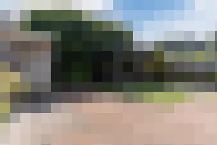 Schaapsheide 12 Odiliapeel thumbnail 37