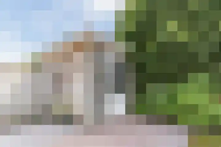 Schaapsheide 12 Odiliapeel thumbnail 38