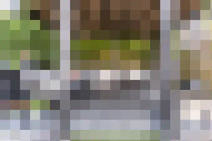 Schaapsheide 12 Odiliapeel thumbnail 39
